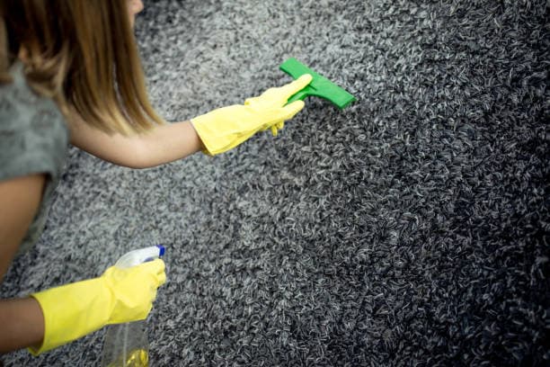 Why Regular Carpet Cleaning Matters for Your Home