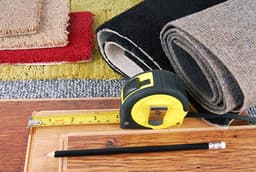  DIY or Professional Find the Best Carpet Cleaning Solution
